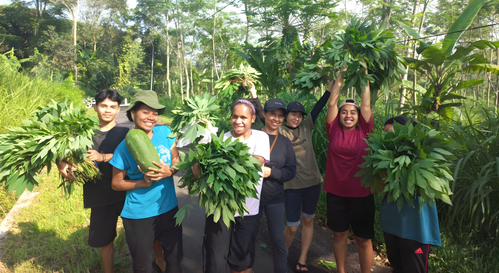 DTS Students harvesting fruit